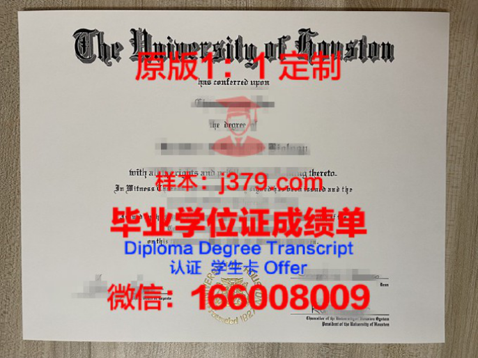 休斯顿大学维多利亚分校录取通知书OFFER定制，开启人生新篇章