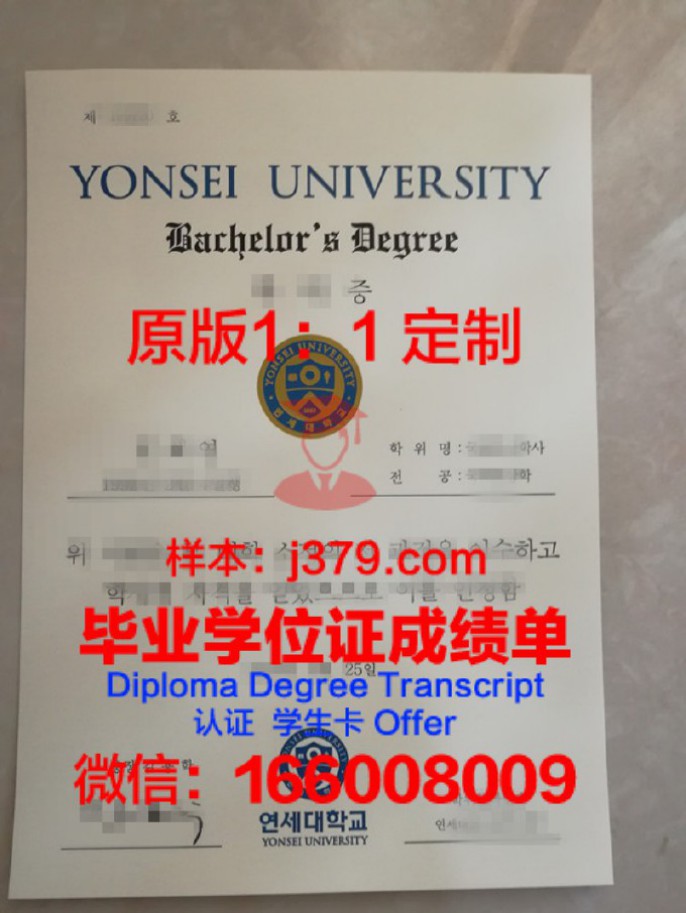 延世大学毕业证图片：一份承载荣誉与梦想的证书