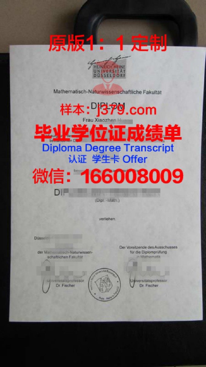 杜塞尔多夫应用技术大学学历证书(杜塞尔多夫艺术学院申请难度)