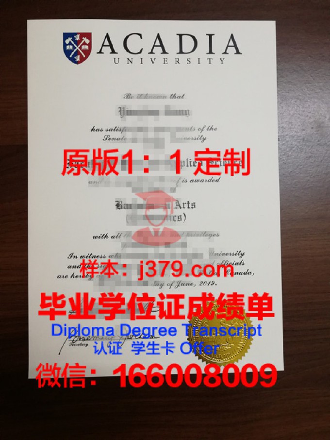 卡迪·阿雅德大学毕业证高清图(阿卡迪亚大学位置)