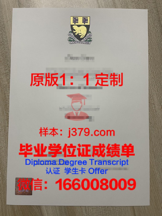 伦敦南岸大学成绩单(伦敦南岸大学好嘛)