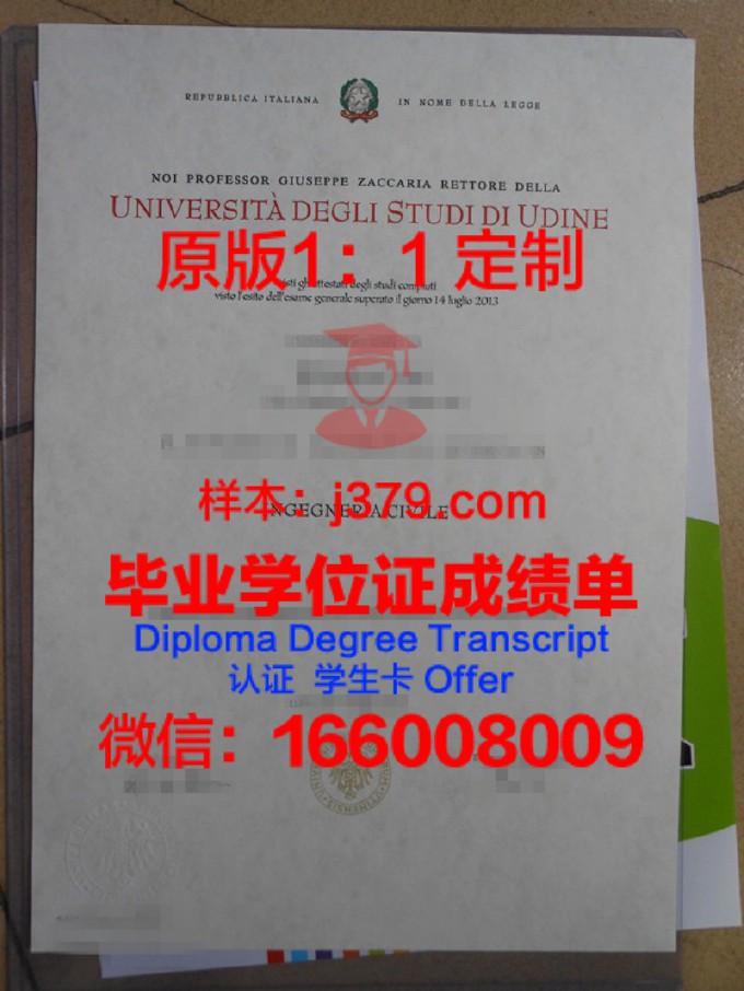 乌迪内大学毕业证模板(乌迪内大学毕业证模板图)