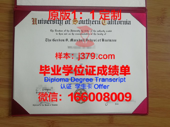 南加州大学毕业证丢失怎么办(南加州大学毕业证丢失怎么办呢)