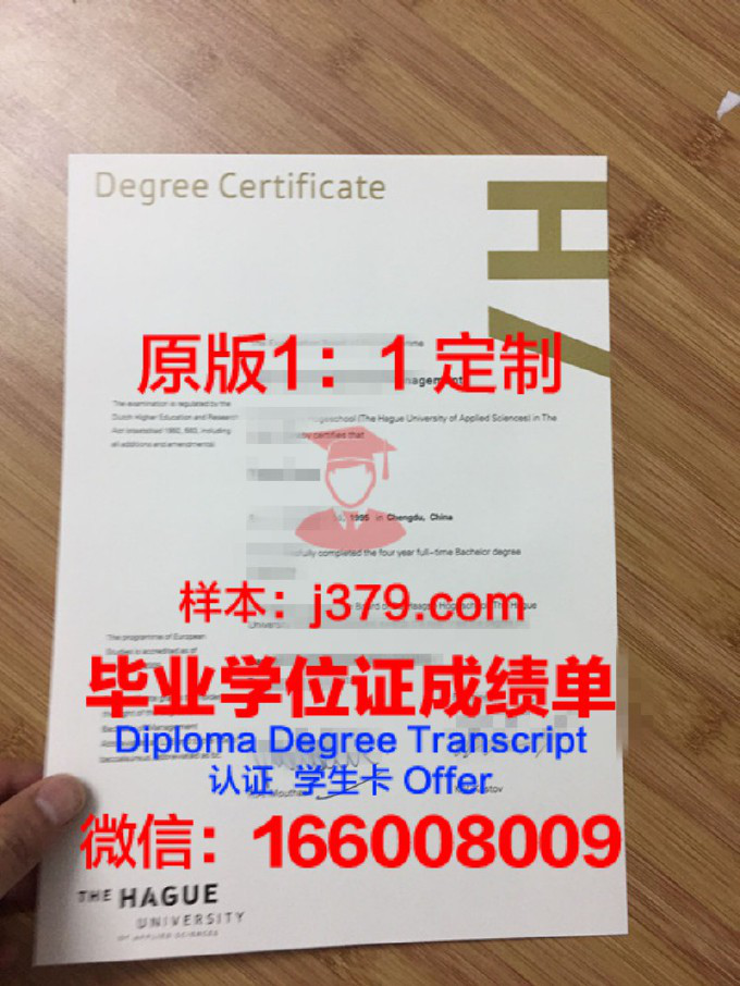 海牙应用科学大学毕业证学位证(海牙国际商学院)