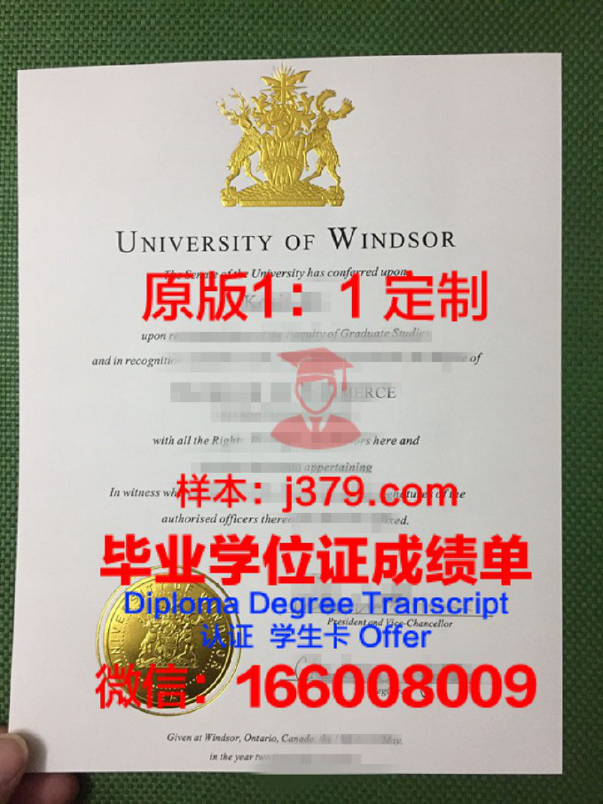 温莎大学的毕业证啥样(温莎大学有什么专业)