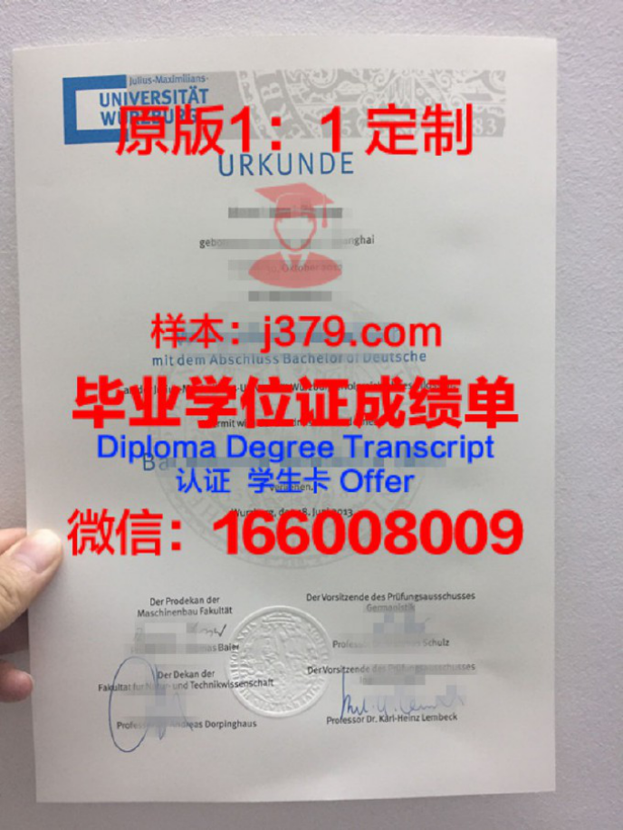 Lyon U博士毕业证：一份跨越国界的荣誉