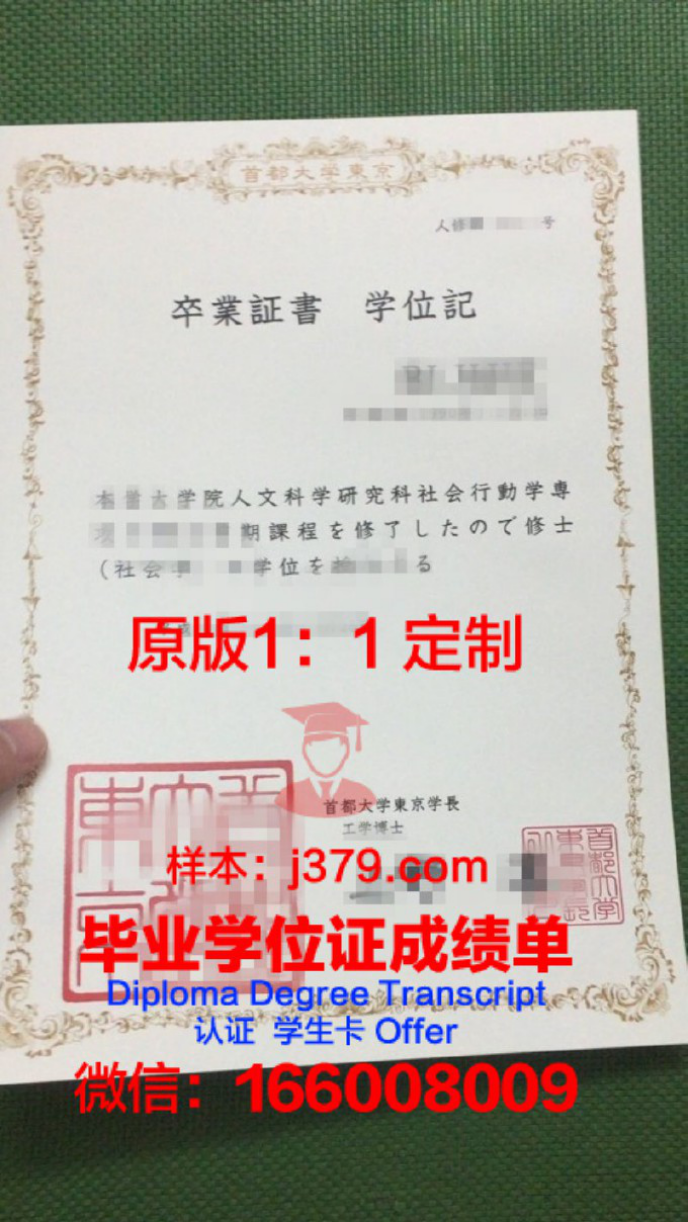 日本电子专门学校毕业证——开启数字影像领域的职业生涯