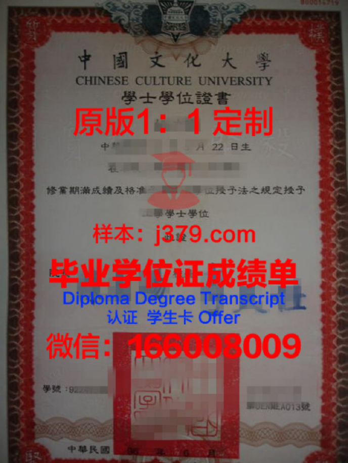 中文大学是干什么的：承载文化传承，培养时代新人