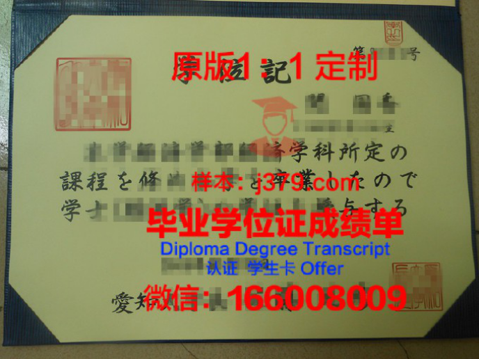 爱知教育大学硕士学位证：一份承载荣誉与责任的证书