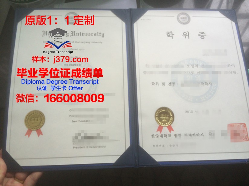 朱大学位证成绩单：一份珍贵的青春记忆