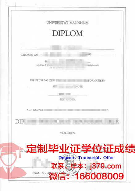 曼海姆大学毕业证外壳(曼海姆大学mmm)