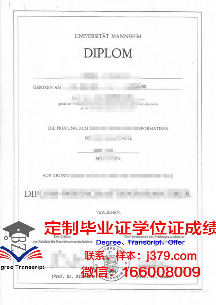 曼海姆应用技术大学毕业证案例(曼海姆大学知乎)