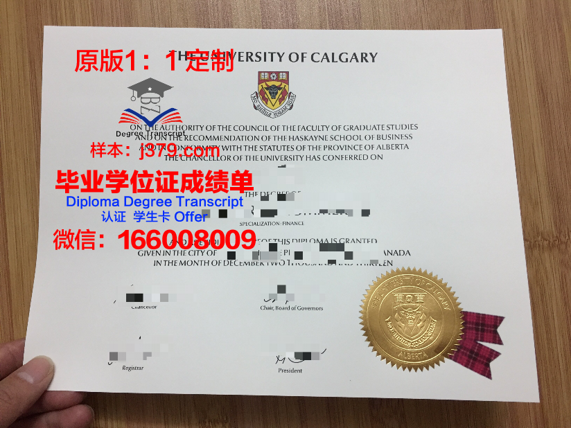 里加技术学院diploma证书(加里敦学院百科)