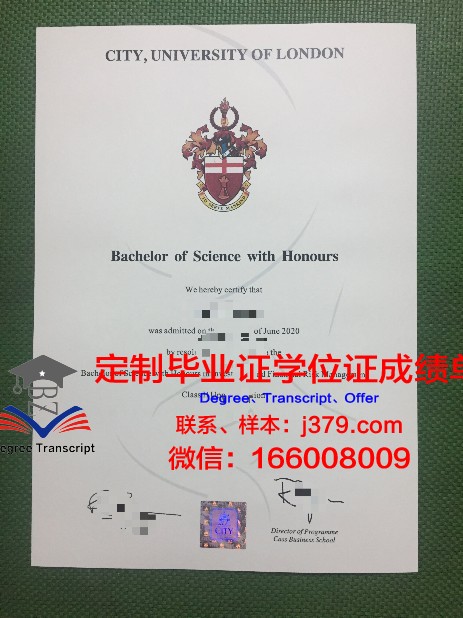 那不勒斯大学本科毕业证：一张承载知识与梦想的证书