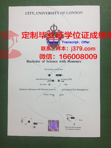 里尔中央理工学院硕士毕业证：开启未来无限可能的钥匙