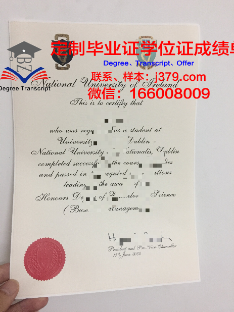 都柏林国际预科学院毕业证Diploma文凭