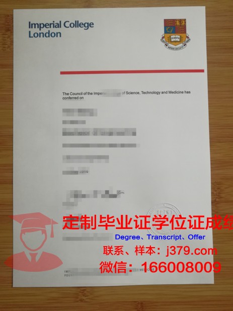 里尔中央理工学院diploma证书(里昂中央理工学院排名)