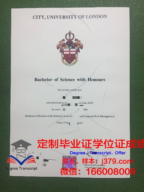 里尔第三大学毕业证壳子(里昂二大毕业证)