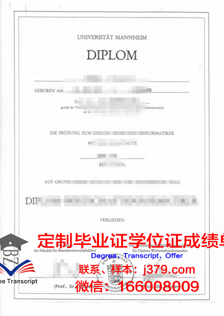 曼海姆应用技术大学硕士毕业证书样本(曼海姆大学英文授课)