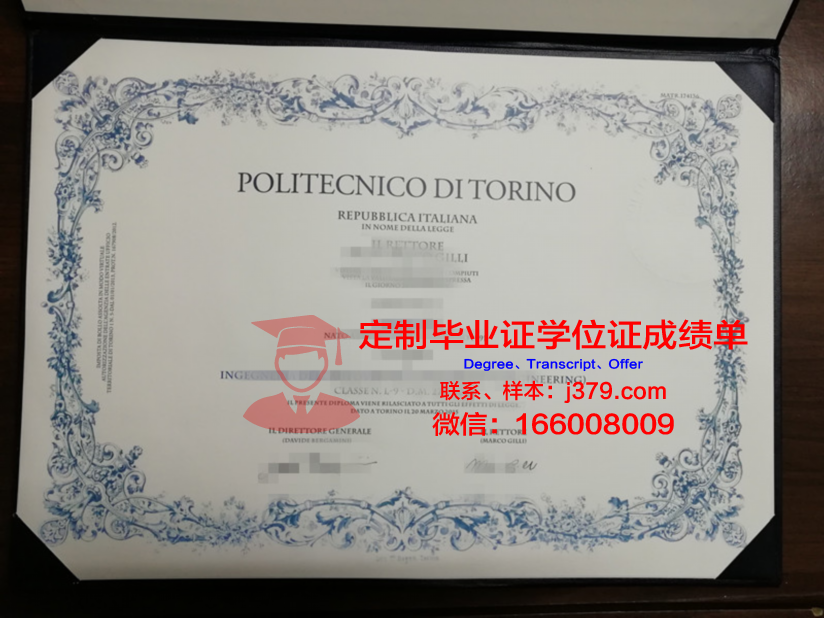 都灵理工大学毕业证diploma