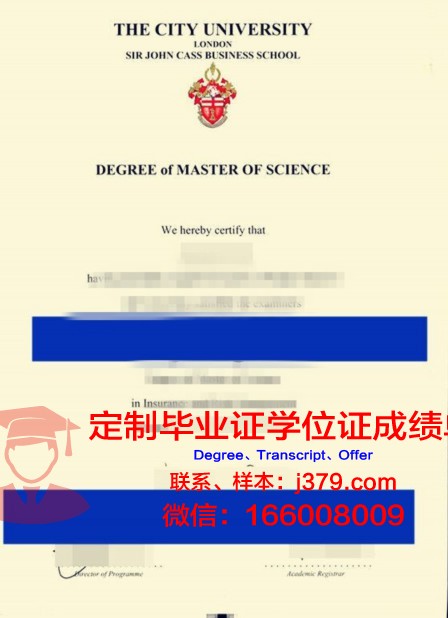 曼隆商学院毕业文凭