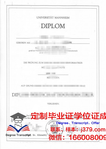 曼海姆大学研究生毕业证(曼海姆大学毕业薪资)