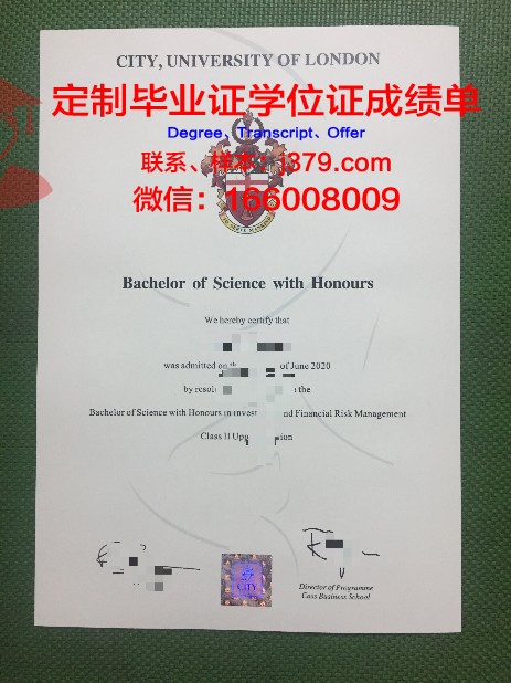 那不勒斯毕业证成绩单：追踪教育的痕迹