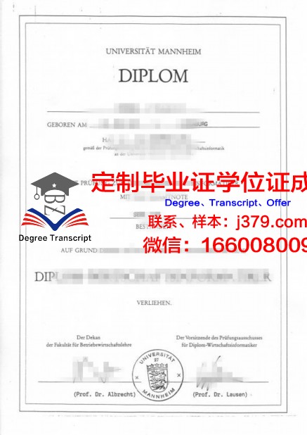 曼海姆大学毕业证diploma