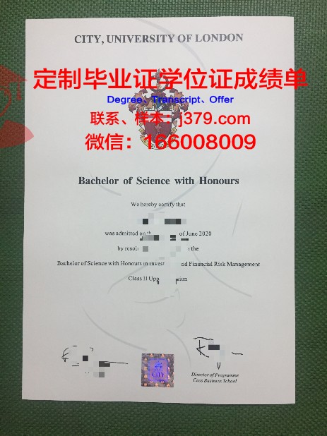 那不勒斯腓特烈二世大学硕士毕业证