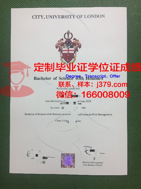 里尔第一大学硕士毕业证：跨越国界的学术荣耀