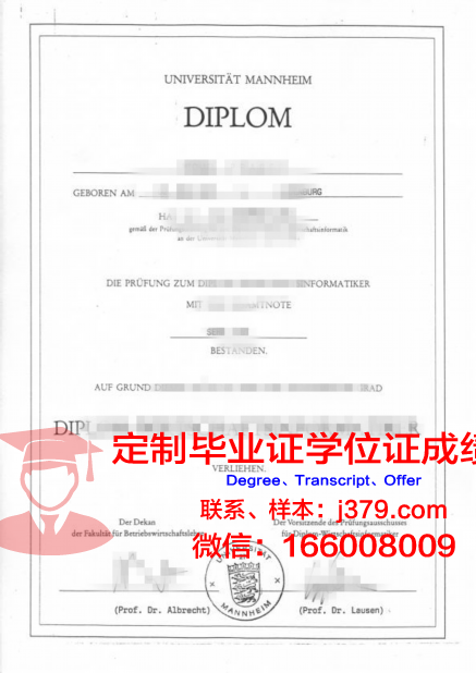 曼海姆技术与设计应用技术大学毕业证书模板(曼海姆大学本科申请条件)