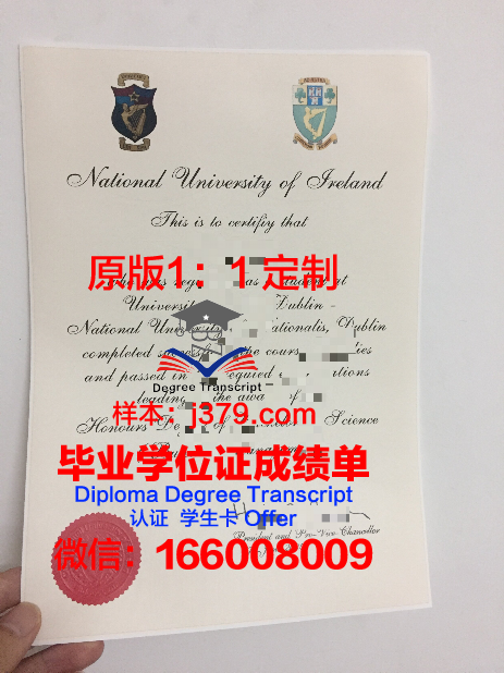 都柏林城市大学学生卡(都柏林城市大学本科申请条件)