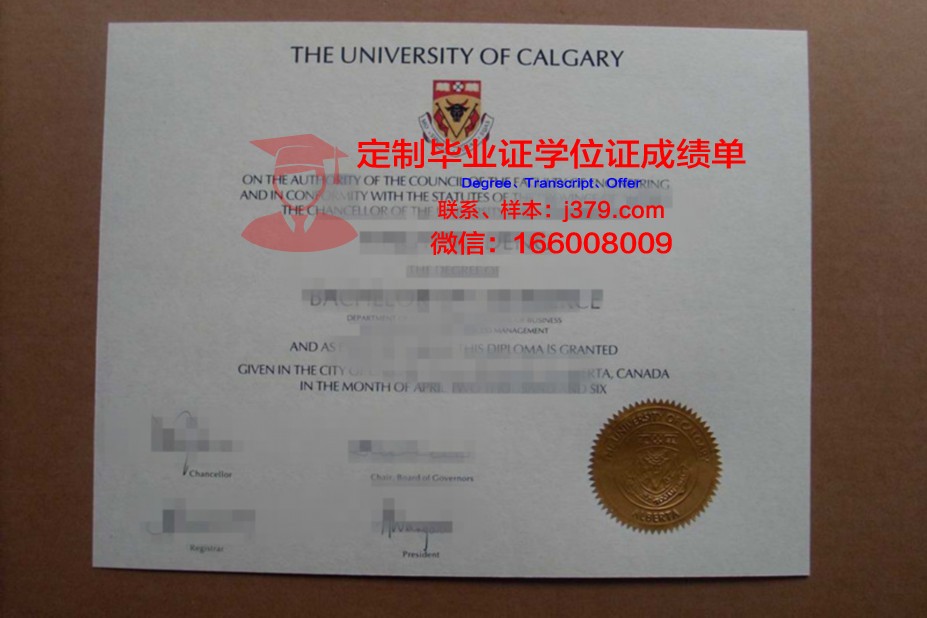 里加技术学院diploma证书(加里敦学院百科)