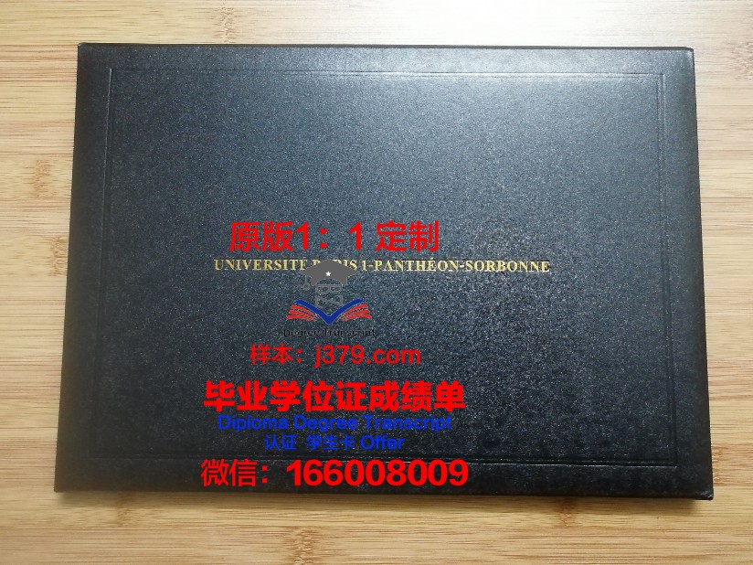 里尔第一大学文凭(里尔大学在法国哪里)