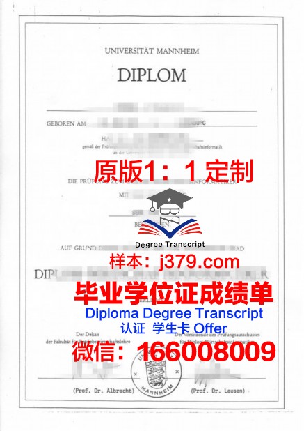 曼海姆技术与设计应用技术大学学位证书(曼海姆大学英语授课专业)