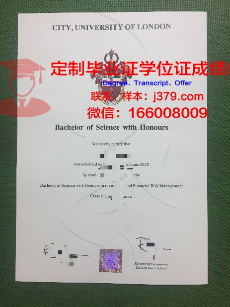 曼苏拉大学博士毕业证：跨越学术巅峰的荣耀证书