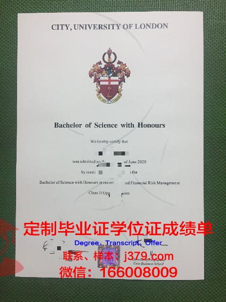 里尔国立高等建筑与景观学院毕业证高清图(里尔的大学)