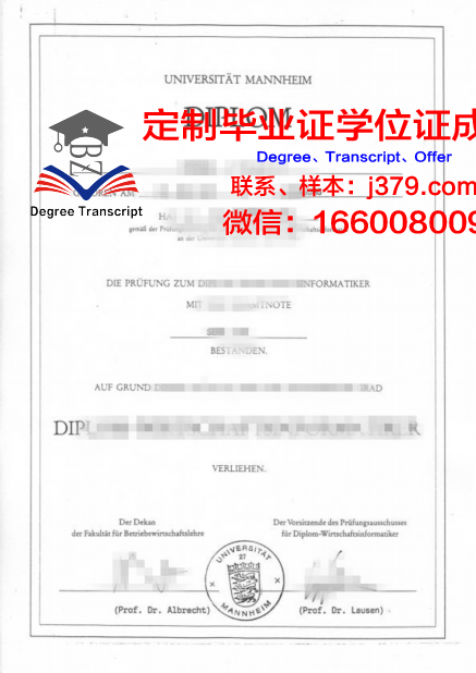 曼海姆大学研究生毕业证(曼海姆大学毕业薪资)