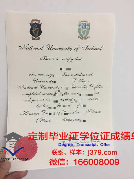 都柏林城市大学毕业证成绩单(都柏林城市大学本科申请条件)