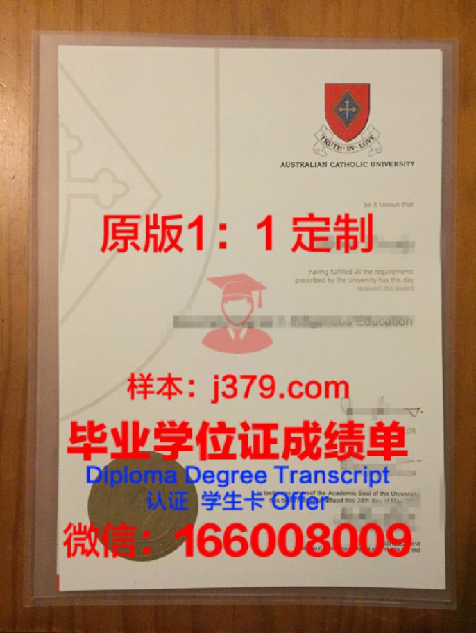 瓦伦西亚圣维森特玛蒂尔天主教大学录取通知书OFFER定制，助您圆梦西班牙