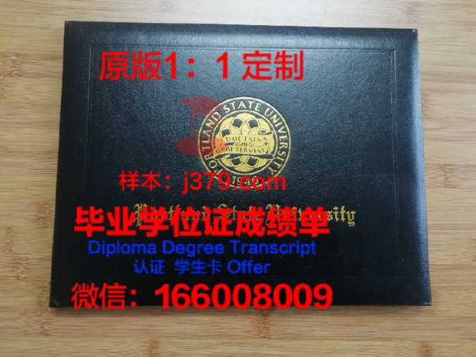 龙仁松潭大学毕业证壳子(大学毕业证的壳子)