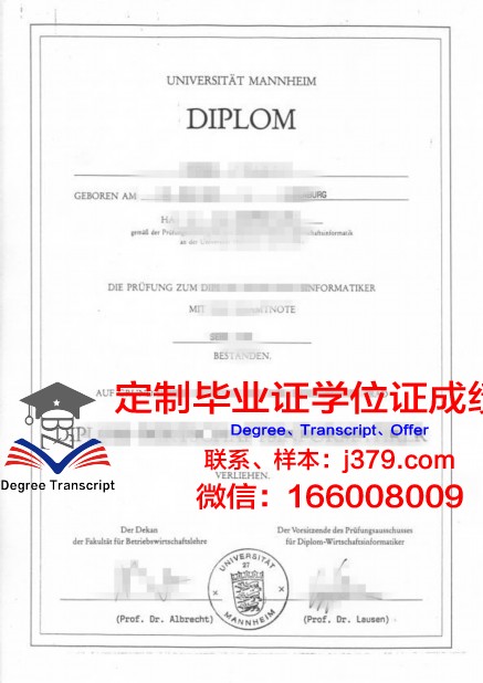 曼海姆大学毕业证长什么样(曼海姆大学bwl)