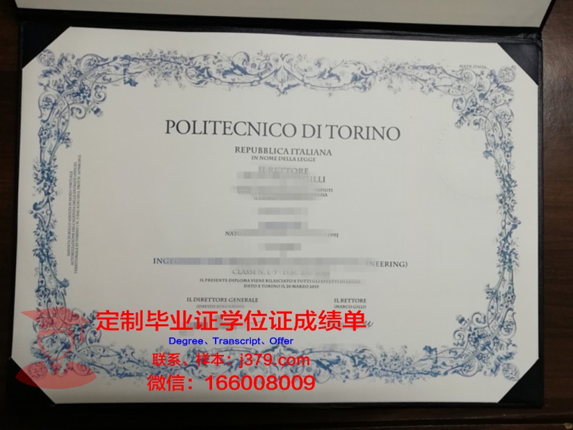 都灵理工大学毕业证diploma