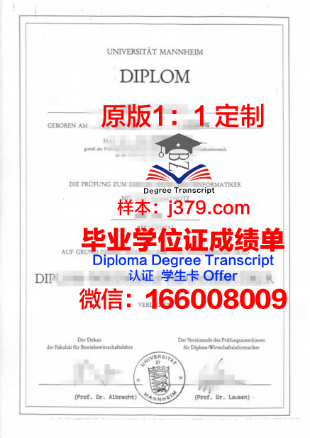 曼海姆大学毕业证diploma