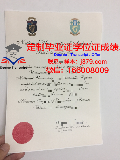 都柏林城市大学毕业证壳子(都柏林城市大学qs)