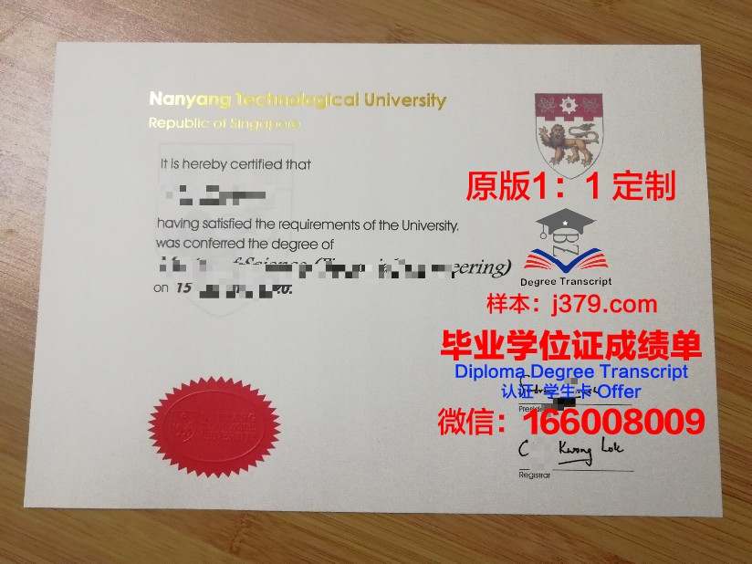 里尔大学毕业证尺寸(里昂二大毕业证)