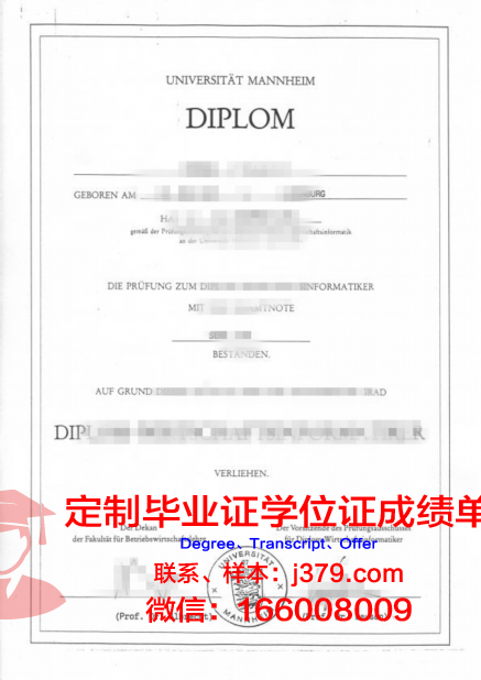 曼海姆应用技术大学毕业证好找工作吗(曼海姆大学英语授课专业)