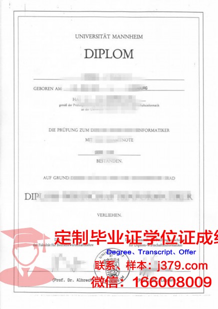 曼海姆应用技术大学毕业证长什么样(曼海姆大学本科申请条件)