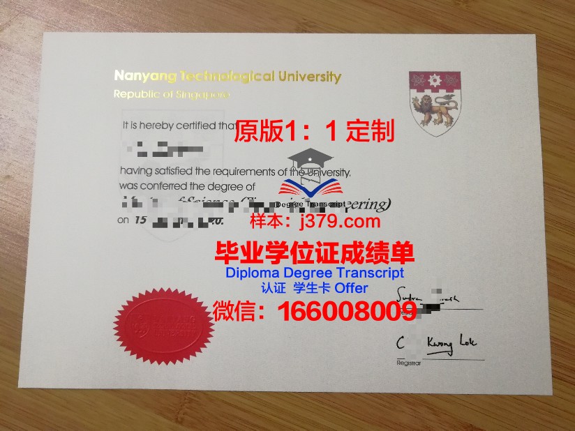 李大学毕业证是什么样呢(大学毕业证是怎样的)