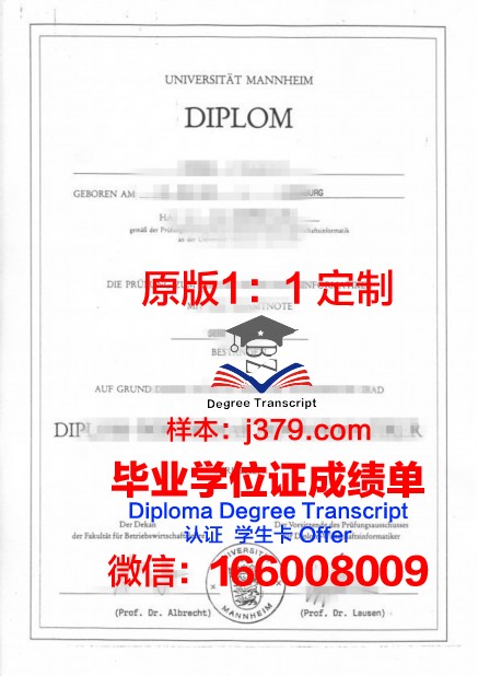 曼海姆应用技术大学毕业证真伪(曼海姆大学英语授课)